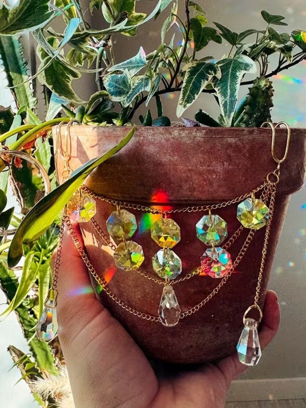 Plant Bling - Picture 2 of 6